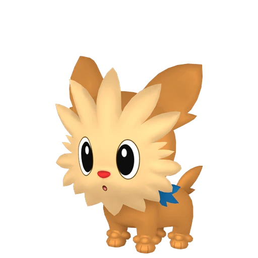 Lillipup