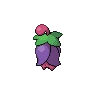 Cherrim