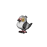 Pidove