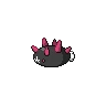 Pyukumuku