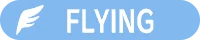 Flying type